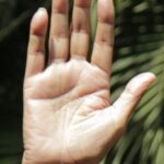 Amitabh Bachchan Palm